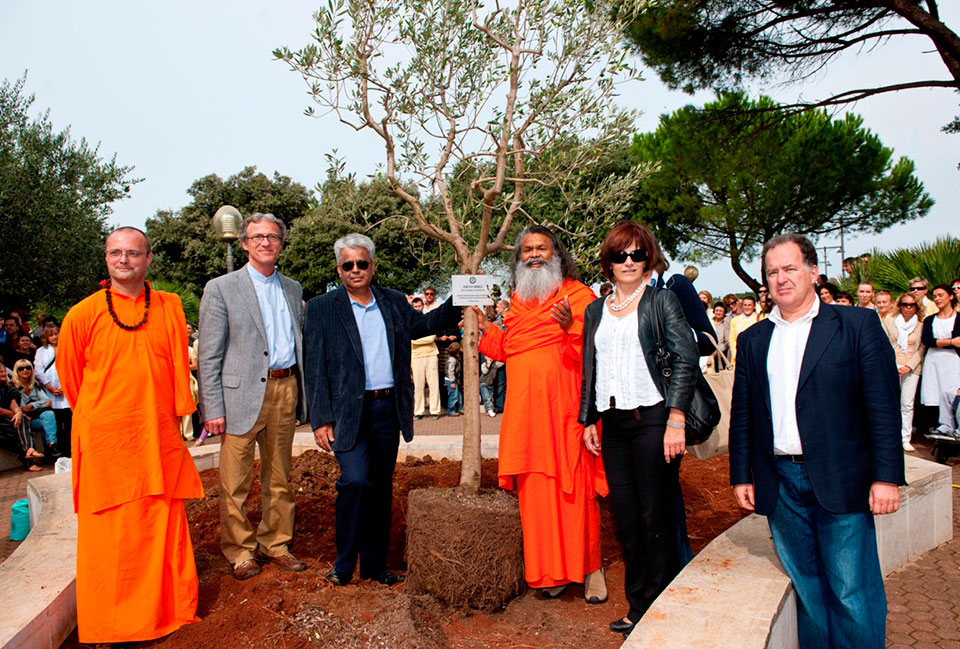 peace-tree-umag-2010-1