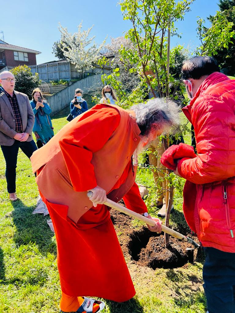 2022 10 03 Raumati Beach Weka Park New Zealand 2a